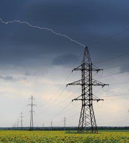 electric-area electric-area